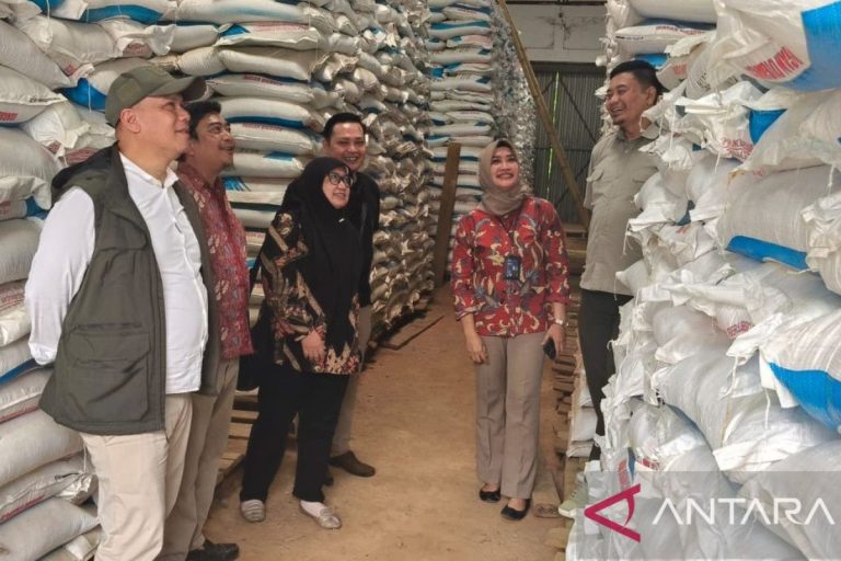 stok-wahyu