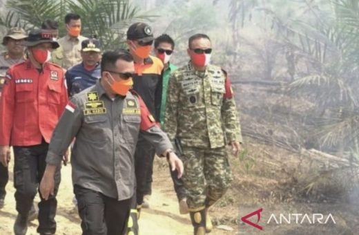 Kemenhut tetapkan dua tersangka pembakaran hutan di Jabung Barat Jambi