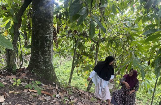 Beutong Ateuh: Belum pulih dari banjir bandang, izin tambang datang